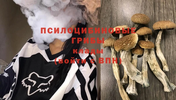 альфа пвп Армянск