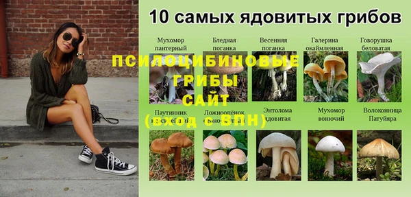 альфа пвп Армянск