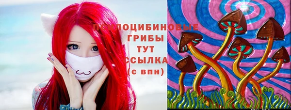 СК Арсеньев