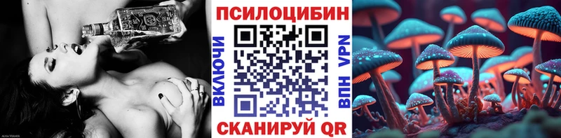 магазин    Сясьстрой  Псилоцибиновые грибы ЛСД 